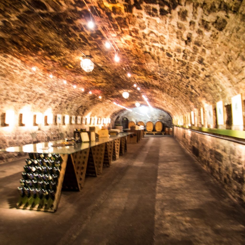 Private Winery Tour (Franconia Region)