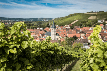 Castle Tour Marienberg Fortress – in Würzburg, Bavaria (Small Group)