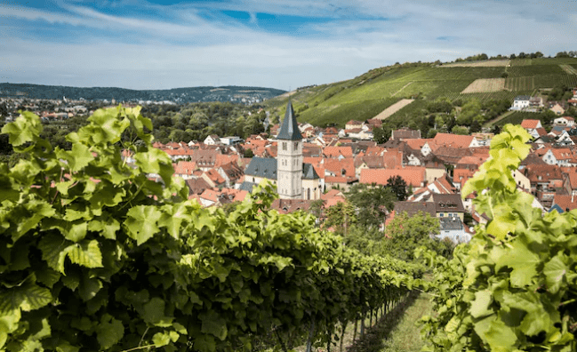 Castle Tour Marienberg Fortress – in Würzburg, Bavaria (Small Group)