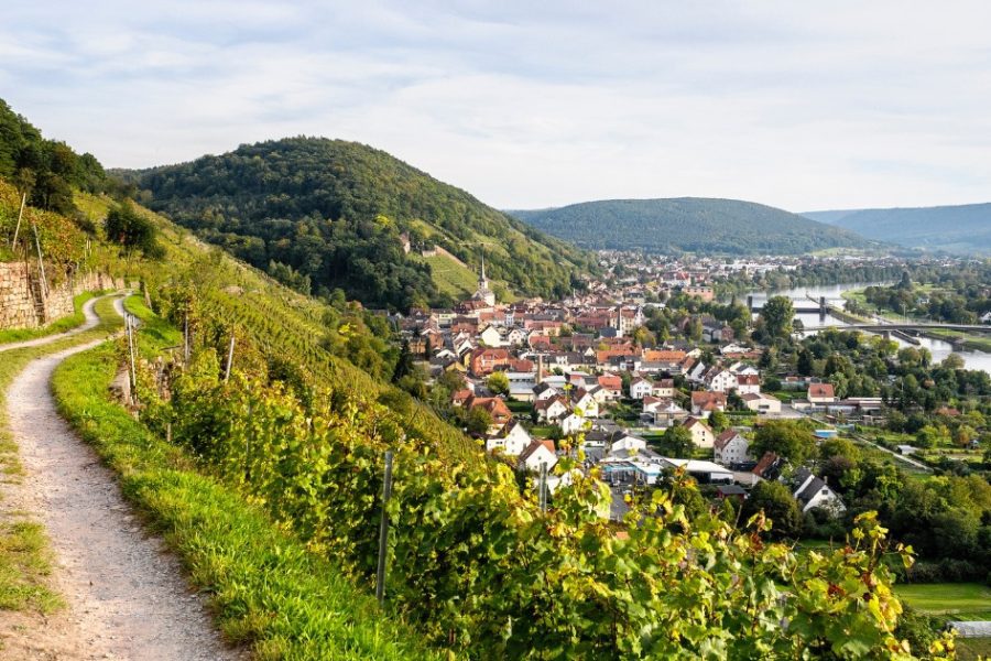 Würzburg Wine & Franconian Wine Valley Half-Day Private Tour — Wineries, Culture & Taste